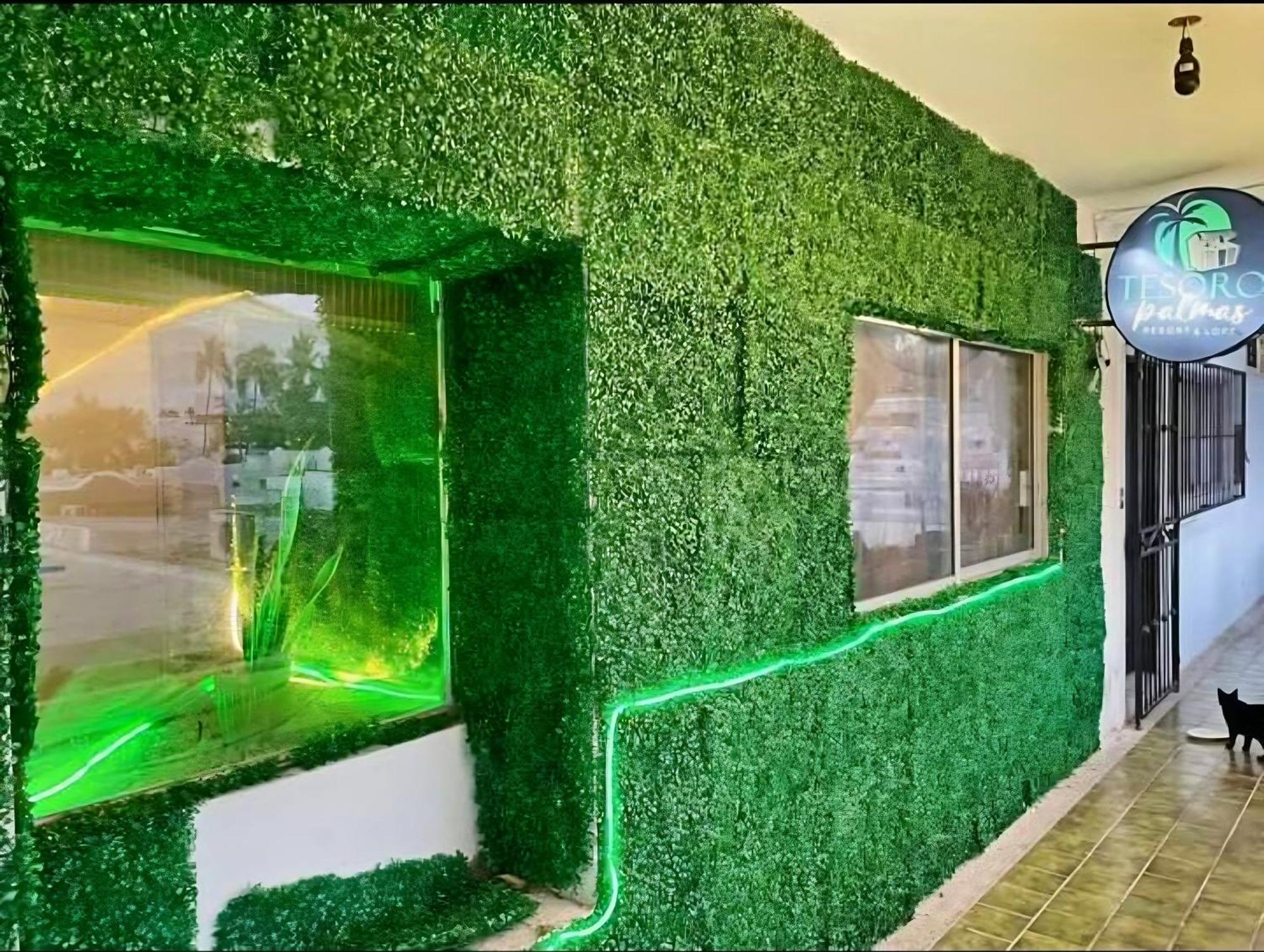 Tesoro Palmas Hostal Mazatlán